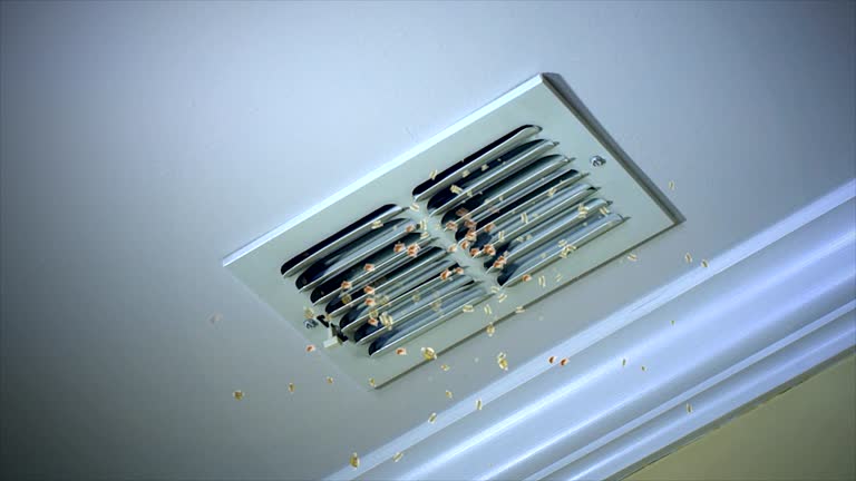 Air Duct Mold Removal in CO
