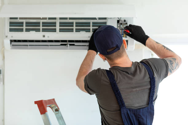 Best Air Duct Mold Removal  in Durango, CO